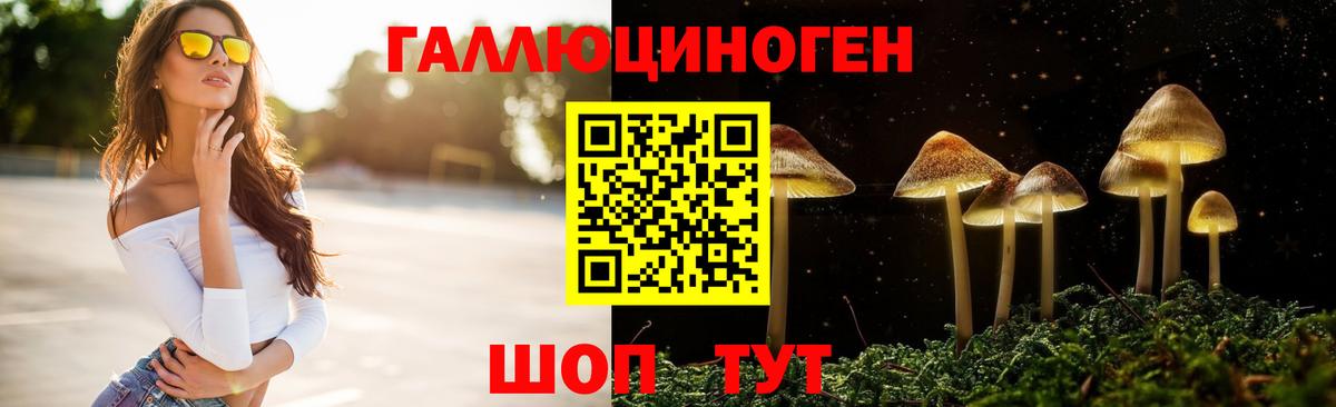 продажа наркотиков  Вход с VPN  Краснознаменск  Псилоцибиновые грибы прущие грибы 