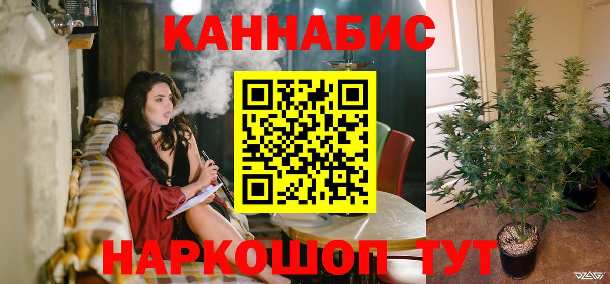 Конопля план Краснознаменск
